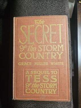 The Secret of the Storm Country by Grace Miller White, 1917 1st Edition Book
